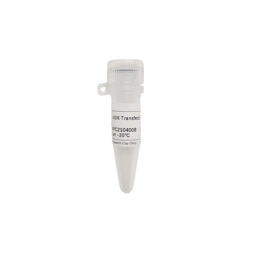 PEI 40K Transfection Reagent